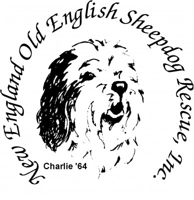 New England Old English Sheepdog Rescue Inc. - Pet Shelter and Rescue in Lincoln, Massachusetts