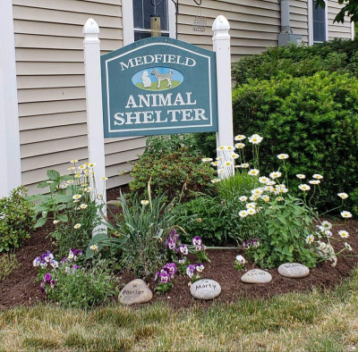 A Medfield Animal Shelter - Pet Shelter and Rescue in Medfield, Massachusetts