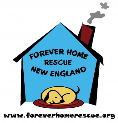 Forever Home Rescue New England - Pet Shelter and Rescue in Medfield, Massachusetts