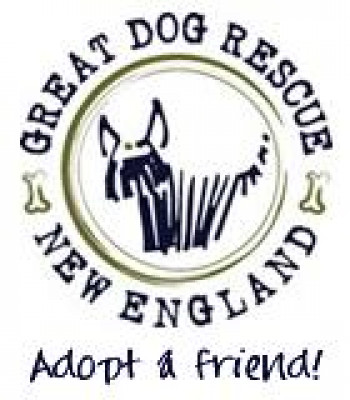 Great Dog Rescue New England - Pet Shelter and Rescue in Andover, Massachusetts