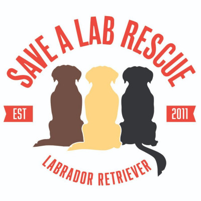 Save A Lab - Pet Shelter and Rescue in Middletown, Rhode Island
