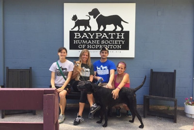 Baypath Humane Society Of Hopkinton Inc. - Pet Shelter and Rescue in Hopkinton, Massachusetts