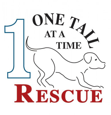 One Tail At A Time Rescue, Inc. - Pet Shelter and Rescue in Haverhill, Massachusetts