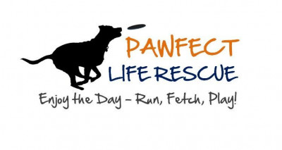 Pawfect Life Rescue - Pet Shelter and Rescue in Uxbridge, Massachusetts