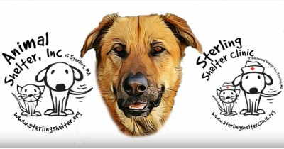 Animal Shelter Inc. - Pet Shelter and Rescue in Sterling, Massachusetts