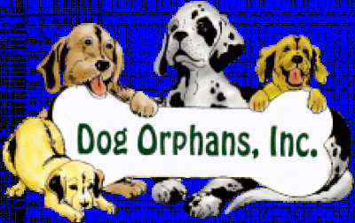 Dog Orphans Inc. - Pet Shelter and Rescue in Douglas, Massachusetts