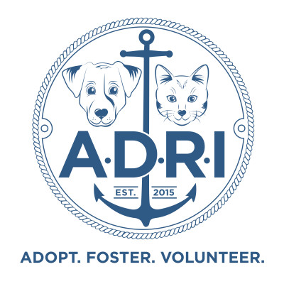 The Abandoned Dogs Of RI - Pet Shelter and Rescue in Glocester, Rhode Island