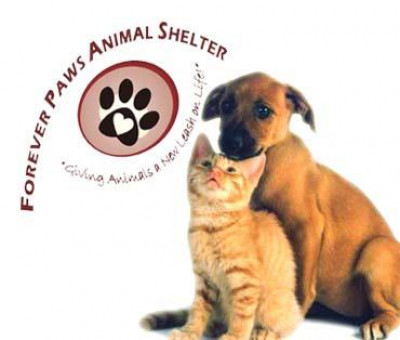 Forever Paws Animal Shelter - Pet Shelter and Rescue in Fall River, Massachusetts