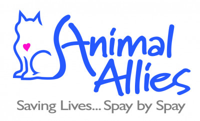 Animal Allies - Pet Shelter and Rescue in Manchester, New Hampshire