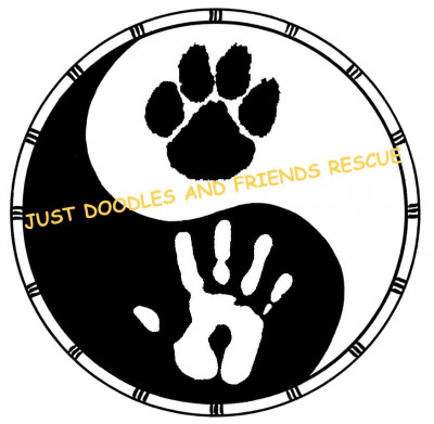 Just Doodles And Friends Rescue - Pet Shelter and Rescue in West Warwick, Rhode Island