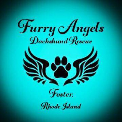 Furry Angels Dachshund Rescue - Pet Shelter and Rescue in Foster, Rhode Island