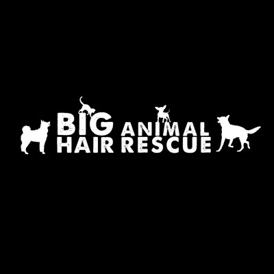 Big Hair Animal Rescue Inc. - Pet Shelter and Rescue in Sturbridge, Massachusetts