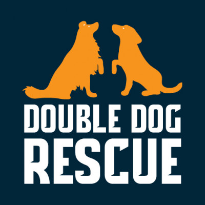 Double Dog Rescue - Pet Shelter and Rescue in Farmington, Connecticut