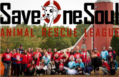 Save One Soul Animal Rescue League - Pet Shelter and Rescue in South Kingstown, Rhode Island