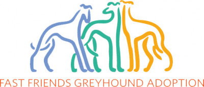 Fast Friends Greyhound Adoption Center - Pet Shelter and Rescue in Swanzey, New Hampshire