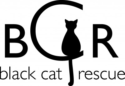 Black Cat Rescue - Pet Shelter and Rescue