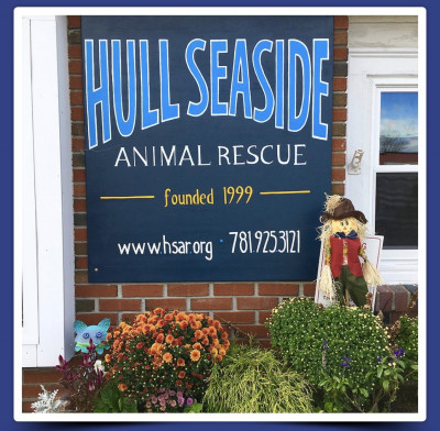Hull Seaside Animal Rescue - Pet Shelter and Rescue in Hull, Massachusetts