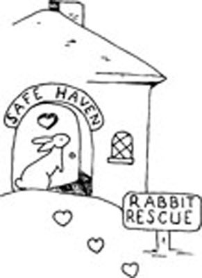 Safe Haven Rabbit Rescue Inc. - Pet Shelter and Rescue in Clinton, New Jersey