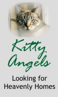Kitty Angels - Pet Shelter and Rescue in Tyngsborough, Massachusetts