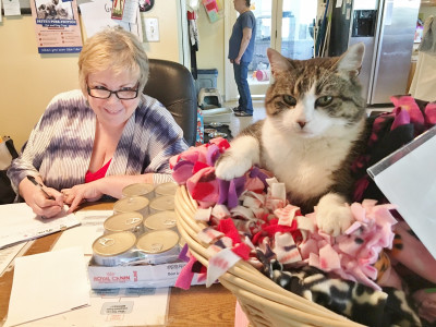 Merrimack River Feline Rescue Society - Pet Shelter and Rescue in Salisbury, Massachusetts