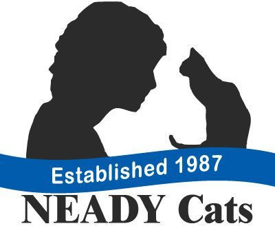 NEADY Cats Inc. - Pet Shelter and Rescue in Sterling, Massachusetts