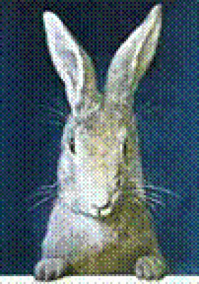 Rabbit Haven By The Sea - Pet Shelter and Rescue in Atlantic Highlands, New Jersey