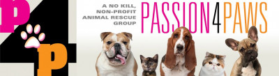 Passion 4 Paws - Pet Shelter and Rescue in Killingly, Connecticut