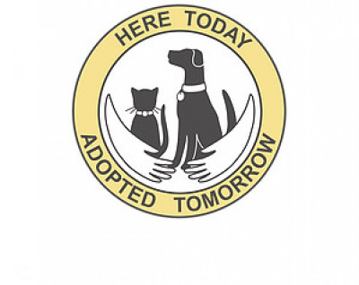 Here Today Adopted Tomorrow Animal Sanctuary, Inc. - Pet Shelter and Rescue in Brimfield, Massachusetts