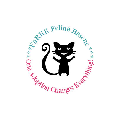 FuRRR Feline Rescue, Rehabilitation And Retirement - Pet Shelter and Rescue in Rochester, New Hampshire