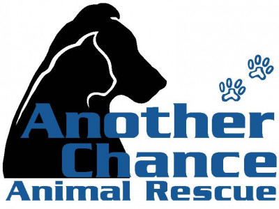 Another Chance Animal Rescue - Pet Shelter and Rescue in Sanford, Maine