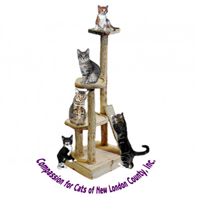 Compassion For Cats, New London County - Pet Shelter and Rescue in Lisbon, Connecticut