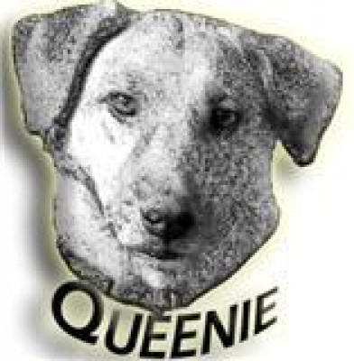 The Queenie Foundation Inc. - Pet Shelter and Rescue in Manchester, Connecticut