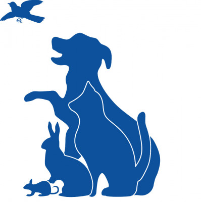 Our Companions Animal Rescue - Pet Shelter and Rescue in Manchester, Connecticut