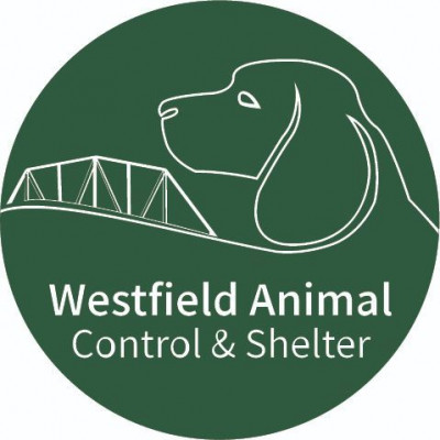 Westfield Animal Shelter - Pet Shelter and Rescue in Westfield, Massachusetts