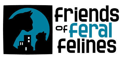 Friends Of Feral Felines - Pet Shelter and Rescue in Portland, Maine