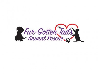 Fur-Gotten Tails Animal Rescue - Pet Shelter and Rescue in Plainville, Connecticut