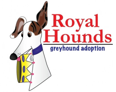 Royal Hounds Greyhound Adoption - Pet Shelter and Rescue in Seattle, Washington