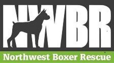 Northwest Boxer Rescue - Pet Shelter and Rescue in Woodinville, Washington