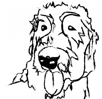 Big Dog Rescue Project - Pet Shelter and Rescue in Tacoma, Washington