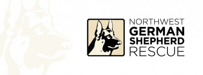 Northwest German Shepherd Rescue - Pet Shelter and Rescue in Bothell, Washington