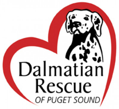 Dalmatian Rescue Of Puget Sound - Pet Shelter and Rescue in Lake Stevens, Washington