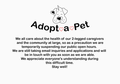 Adopt-A-Pet - Pet Shelter and Rescue in Shelton, Washington