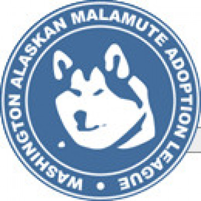 WAMAL WA Alaskan Malamute Adoption League - Pet Shelter and Rescue in Seattle, Washington