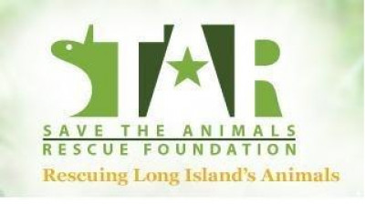 STAR (Save The Animals Rescue) Foundation - Pet Shelter and Rescue in Middle Island, New York