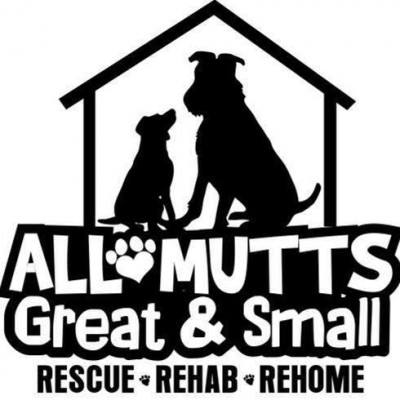 All Mutts Great And Small - Pet Shelter and Rescue in Yakima, Washington