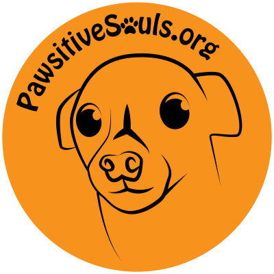 Pawsitive Souls - Pet Shelter and Rescue in Gearhart, Oregon