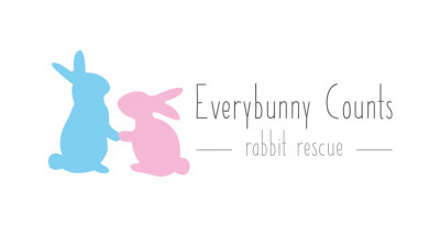 Everybunny Counts - Pet Shelter and Rescue in Ellington, Connecticut