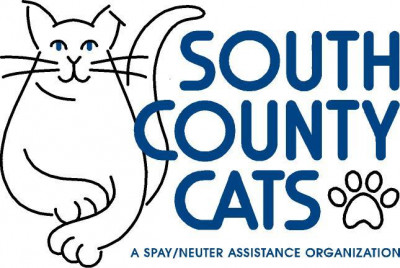 South County Cats - Pet Shelter and Rescue in Maple Valley, Washington
