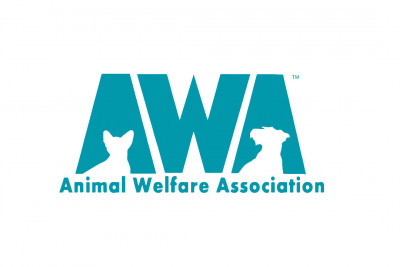 Animal Welfare Association - Pet Shelter and Rescue in Voorhees Township, New Jersey