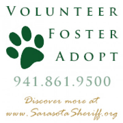 Sarasota County Animal Services - Pet Shelter and Rescue in Sarasota, Florida